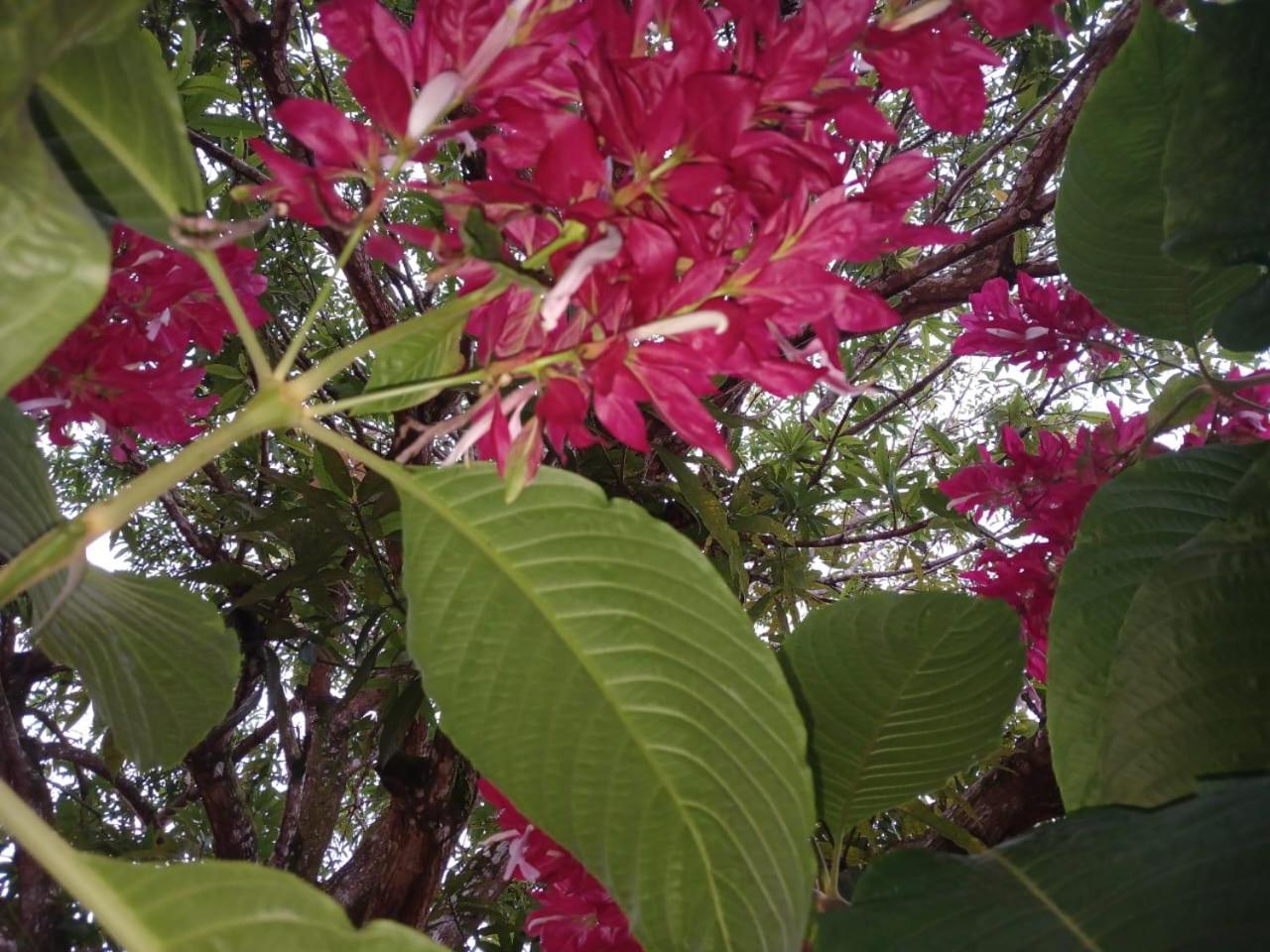 Casa Finca El Rosario San Marcos  エクステリア 写真